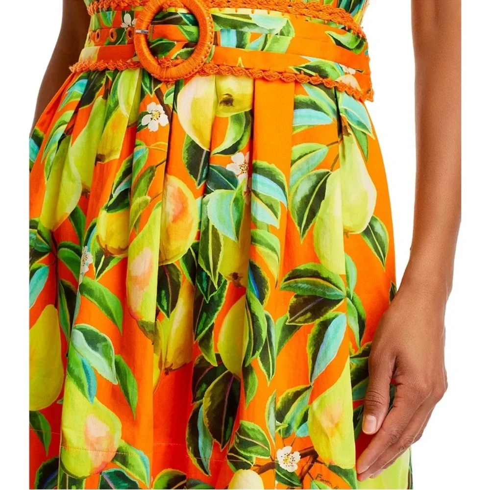 NWT FARM Rio Chic Pears Belted Mini Dress - Picture 2 of 13